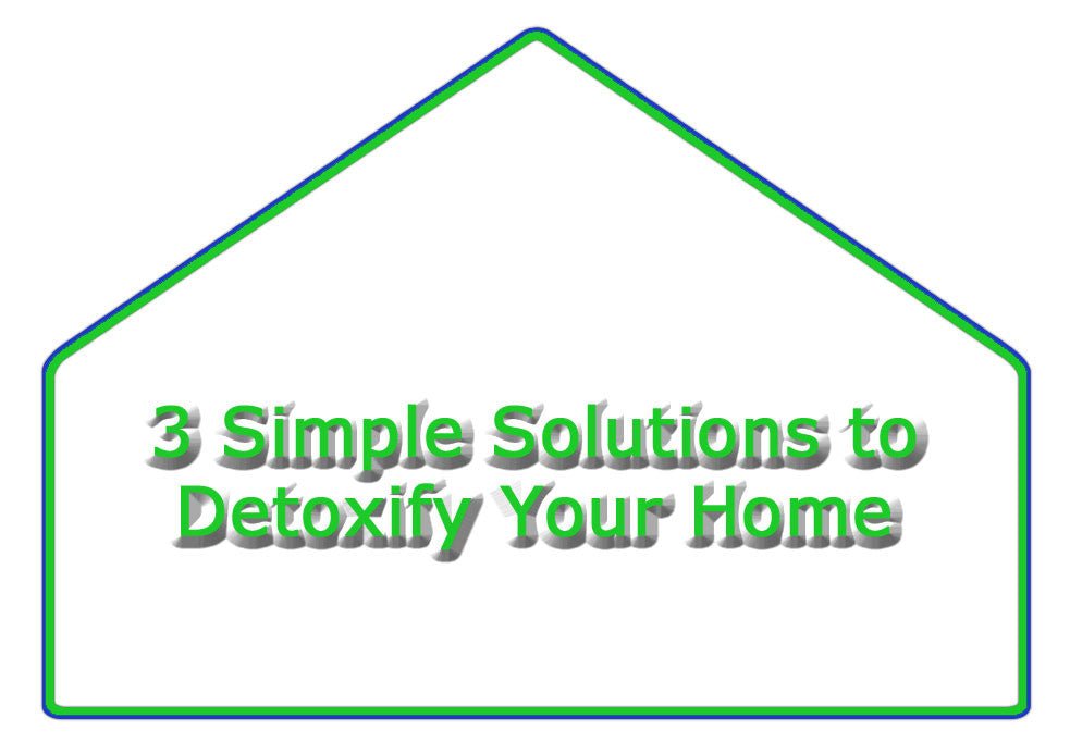3 Simple Solutions You Can Use to Detoxify The Air in Your Home - Atomic Filters