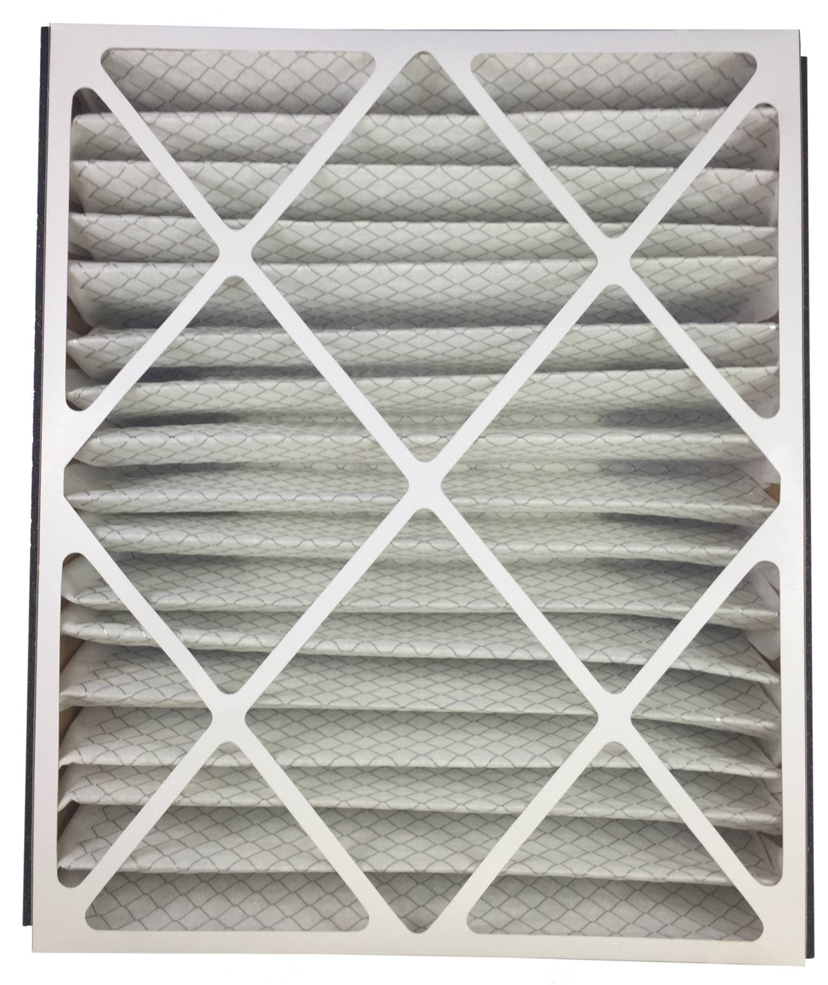 Atomic 255649-102 Trion Air Bear MERV 8 Compatible Replacement Filter - 20x25x5 - 2 Pack