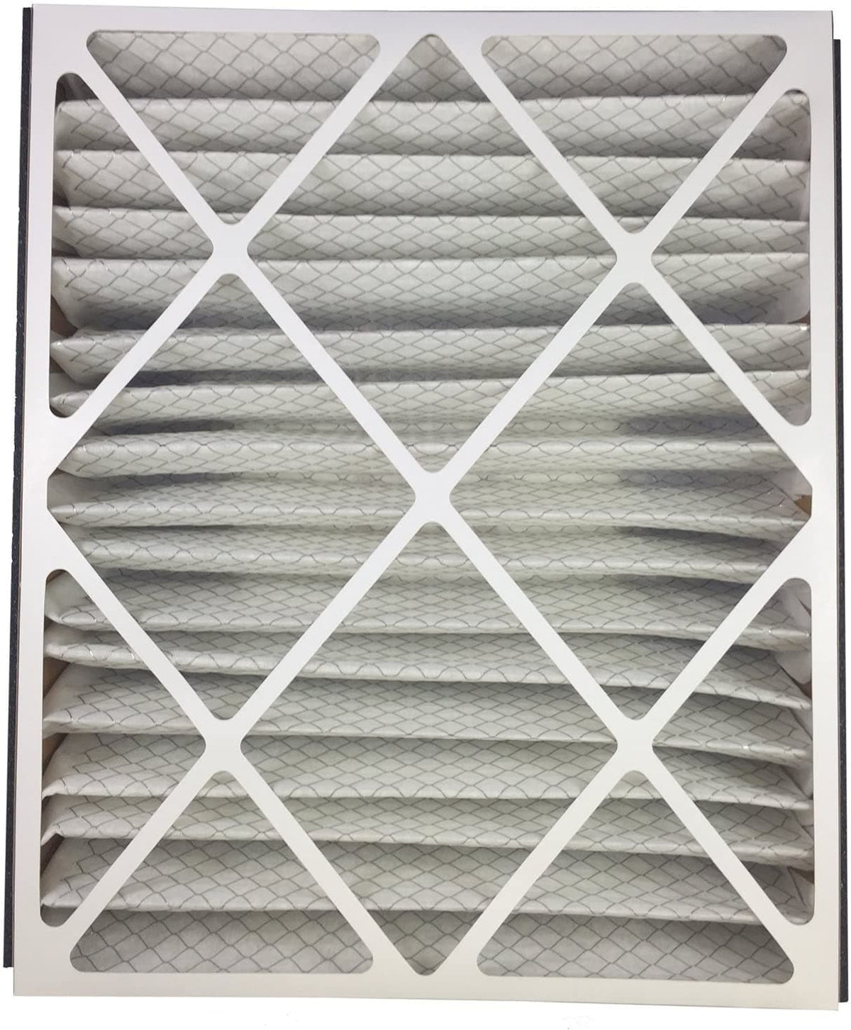 Atomic 259112-102 Trion Air Bear MERV 13 Compatible Replacement Filter - 20x25x5-2 Pack
