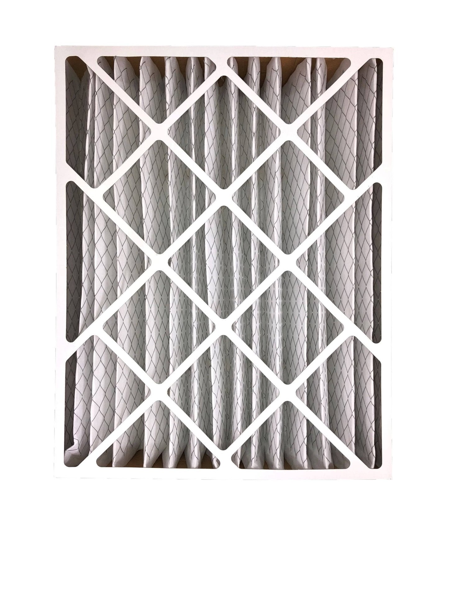 Carrier FILXXFNC0017 16x20x4 MERV 8 Replacement Furnace Filter - 2 Pack