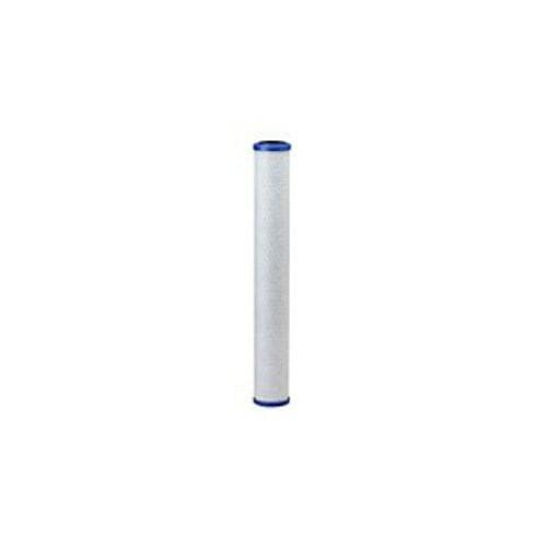 Everpure Costgaurd CG520 Water Filter - EV910825
